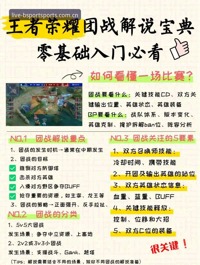 B体育官网实时直播使用指南：从新手到高手的完整攻略